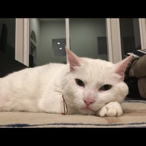 Meet your Posher, Vicky